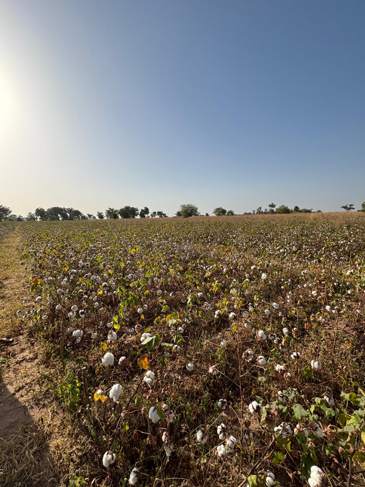 Découvrir le PreFoSyC