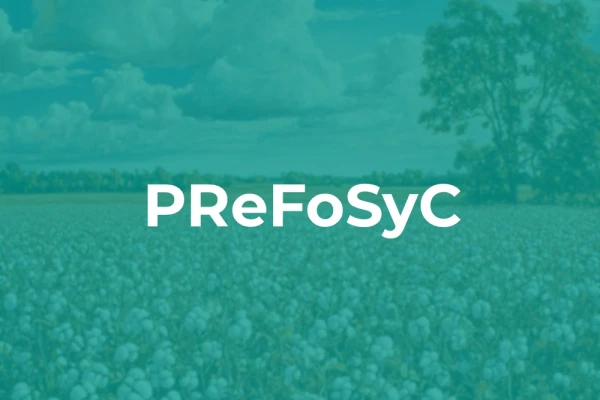 Recrutement des Responsables de PReFoSyC : Renforcement des Équipes à l’ISTOM et à l’UP